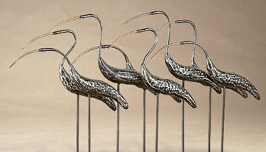 Graceful Egrets